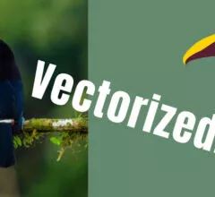 How to Vectorize an Image