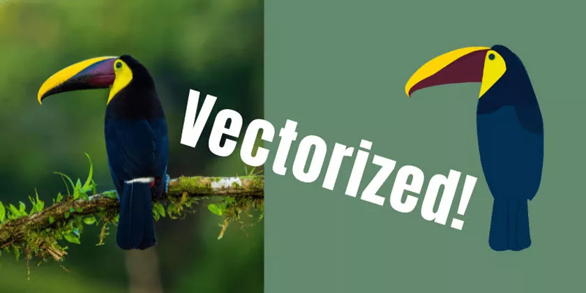 How to Vectorize an Image