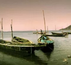 The Best-Kept Secret for Discerning Travellers