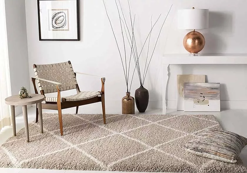 Best Shaggy Rug