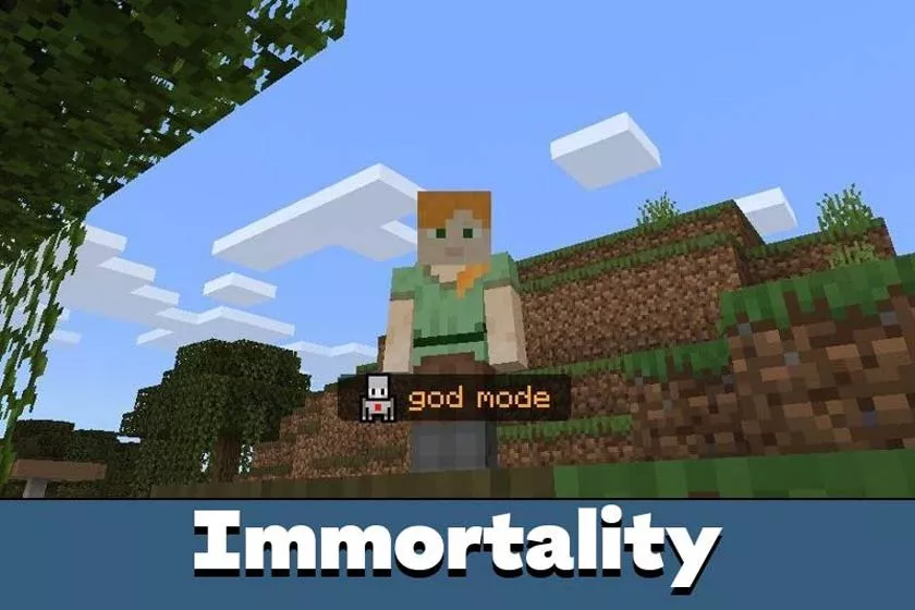 How to Download and Install Minecraft (MOD, Immortality) Modified Version for Android