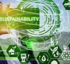 Sustainable cloud: the green future of technology