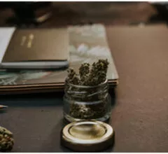 Premium White Ketapang Kratom Enhances Your Day