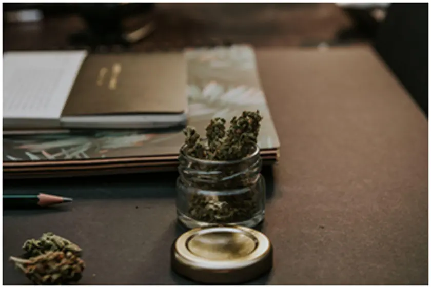 Premium White Ketapang Kratom Enhances Your Day