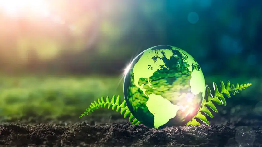 Exploring the Future of Environmental Development and Sustainability