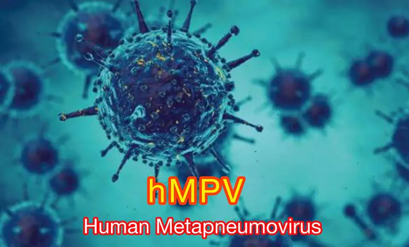 HMPV Virus in India: Symptoms, Spread, and What It Means for Public Health