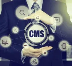 Building Agile Content Pipelines for Performance Marketing with Headless CMS